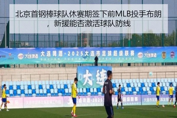 北京首钢棒球队休赛期签下前MLB投手布朗，新援能否激活球队防线